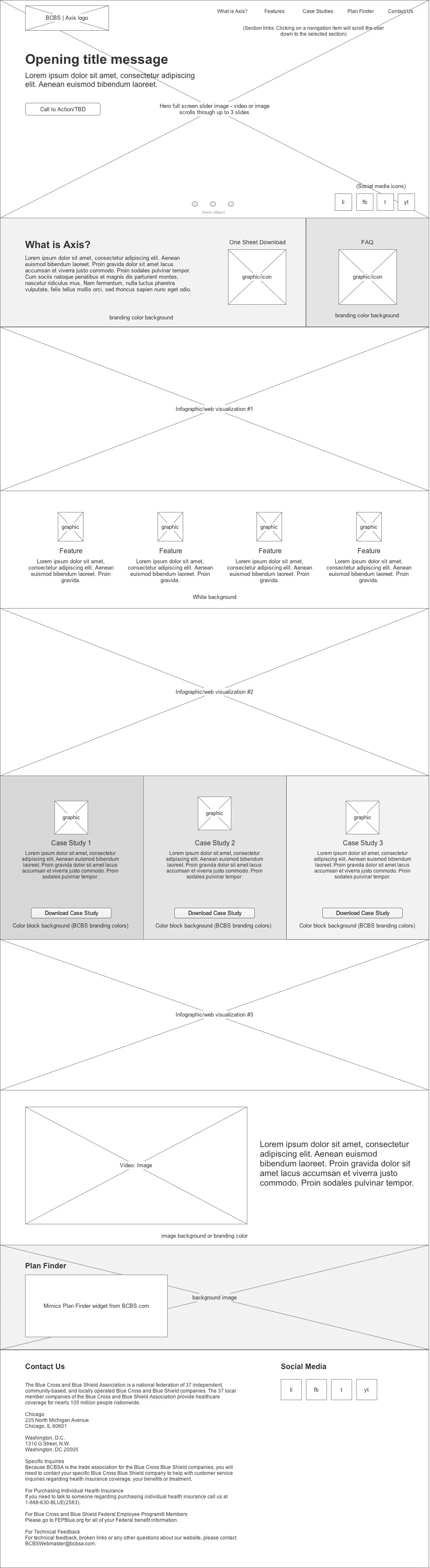 BCBS Axis wireframe
